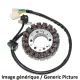 Stator Electrosport ESG088 Suzuki GSX650F