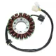 Stator Electrosport ESG143 Suzuki LT-R450/Quadracer
