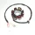 Stator Electrosport ESG146 KTM