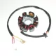Stator Electrosport ESG146 KTM