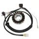 Stator Electrosport ESG163 Polaris
