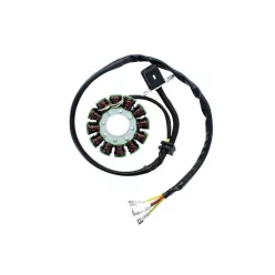 Stator Electrosport ESG169 KTM 350 SXF/KTM 350 XC-F, 11-14
