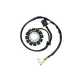 Stator Electrosport ESG169 KTM 350 SXF/KTM 350 XC-F, 11-14