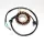 Stator Electrosport ESG181