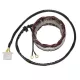 Stator Electrosport ESG210 Honda VT750C/CB750F