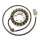Stator Electrosport ESG303 Cam Am