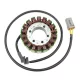 Stator Electrosport ESG303 Cam Am