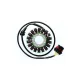 Stator Electrosport ESG306 CAN AM