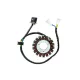 Stator Electrosport ESG368 GV250 Aquila - EFI (09-13)