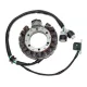 Stator Electrosport ESG432 Yamaha YFM350X Warrior