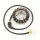 Stator Electrosport ESG531 Honda CBR1100XX