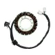 Stator Electrosport ESG545 Artic Cat 650
