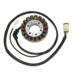 Stator Electrosport ESG591 Kawasaki ZX12R