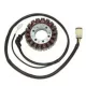 Stator Electrosport ESG591 Kawasaki ZX12R