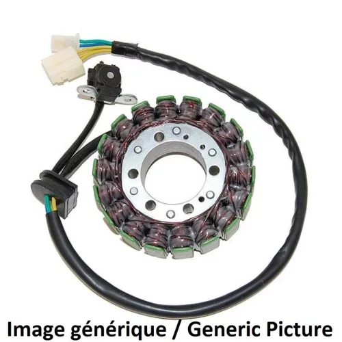 Stator Electrosport ESG648 Kawasaki ZX10R