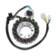 Stator Electrosport ESG739