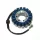 Stator Electrosport ESG744 Honda CBR600F4/FS/FI