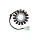 Stator Electrosport ESG745 CBR 600 RR, 07-12