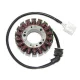 Stator Electrosport ESG787 FZS1000 Fazer