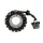 Stator Electrosport ESG800 Polaris Sportsman 800 EFI