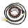 Stator Electrosport ESG802 Polaris Sportsman 700 EFI