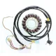 Stator Electrosport ESG803 Polaris Sportsman 450/500