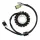 Stator Electrosport ESG806 Yamaha YFM250 Bruin/Big Bear 2x4