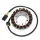 Stator Electrosport ESG831 BMW