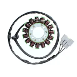 Stator Electrosport ESG845 BMW S1000R