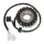 Stator Electrosport ESG847 Suzuki DL650 V-Storm