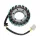 Stator Electrosport ESG903 Kawasaki ZX9R