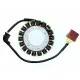 Stator Electrosport ESG919 Aprilia ETV1000 Caponord