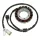 Stator Electrosport ESG941 Yamaha YFM 660F Grizzly