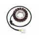 Stator Electrosport ESG958 Honda CBF1000