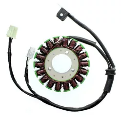 Stator Electrosport ESG968 Triumph 675