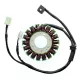 Stator Electrosport ESG968 Triumph 675