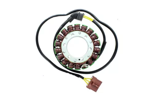 Stator Electrosport ESG999 Aprilia RSV R 1000/Factory (04-09)/