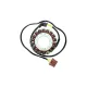 Stator Electrosport ESG999 Aprilia RSV R 1000/Factory (04-09)/