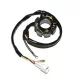Stator Electrosport ESL237 KTM
