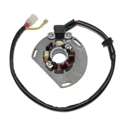 Stator Electrosport ESL239 & Lightning Coil - KTM