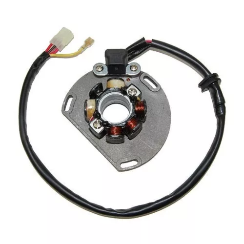 Stator Electrosport ESL239 & Lightning Coil - KTM