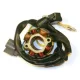 Stator Electrosport ESL730 & Lightning Coil - Suzuki RM-Z250