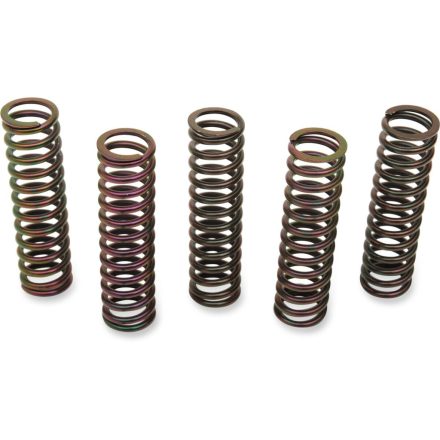 CLUTCH SPRING KIT SUZ