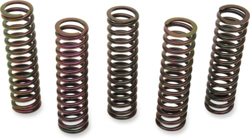 Clutch Spring Kit Suz