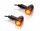Semnalizator V Parts aluminiu led set transparent universal ST-01262-1LED