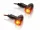 Semnalizator V Parts aluminiu led set transparent universal ST-01262-2LED